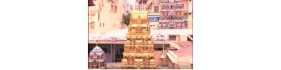 காளிகாம்பாள் - சென்னை - தமிழ்நாடு